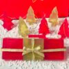 DROYT Christmas SQUARE soap pack 3 x 100g