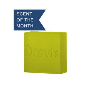Lime & Basil Square Soap 100g